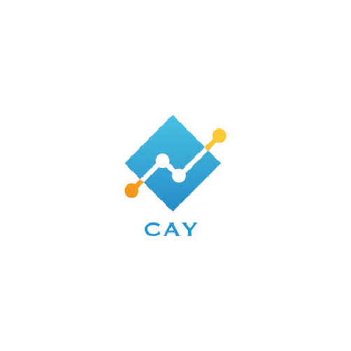 cay consulting